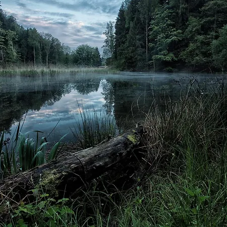 Penzion Svycarsky Dvur