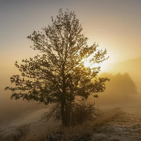 Gasthof Penzion Svycarsky Dvur Jetřichovice